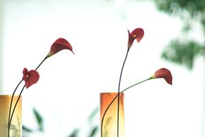 壁掛け時計で豊かな生活を送るために