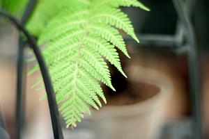 北海道札幌ショールーム｜タカラスタンダードの最新設備と利便性を体験できる展示場