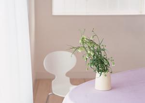 一生の記念になるリングを買うならおすすめです