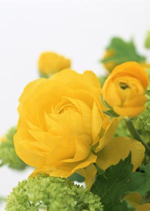 おしゃれなインテリア照明が充実した店舗