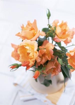 玄関ドアリフォームでお願いしたいこと