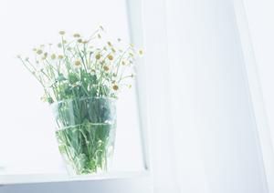 神戸HDCショールーム：タカラスタンダードの最新設備と快適な住空間提案